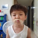 참사이언스 이미지