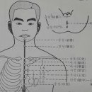 남대문의료기 빛과세상광명사 이미지