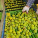 한울농장 이미지