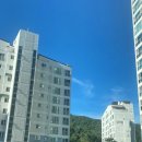 명아김밥 | back to Korea