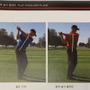 Swing Lab 이미지