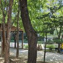 곱창이야기(영등점) | 2025년 한여름에 있었던 일들