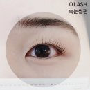 모닝글로리해남점