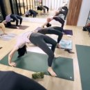 기리요가 스튜디오 이미지