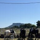 올레라이브 | [제주도] 제주 이색 체험, 졸띠해변승마 올레길 코스 내돈내산 후기