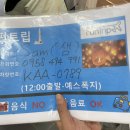 대만 타이베이 3박 4일 여행 : 양품우육면 / 예스폭지투어 / 지우펀야경 / 동파육덮밥 / 일갑자손음...