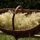 정다운집 | 정다운집 직접 살펴보니 안내가 깔끔했던 곳