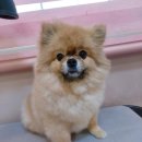 상일축산 이미지