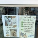 엠제이프라자 | 괴정_사하구 에스테틱 ‘엠제이뷰티샵’ 팔뚝 냉각지방분해시술 후기