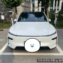 고산모터스 | 테슬라 모델 Y - 글라스틴트 밝은 틴팅 후기(50/30/15)