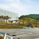 중부대학교 이미지