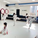 청솔태권도장 이미지