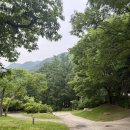 금대에코힐링캠핑장_2 | 원주 금대에코힐링캠핑장 36번사이트 솔캠후기