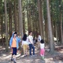 금곡농원민박 이미지