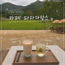 산너머대봉시곶감 | 남해 산책하기 좋은 뷰 맛집 카페 파라다랑스 | 무료주차+반려동물 동반 가능