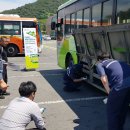 시내버스 이미지