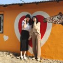 회인중학교 이미지