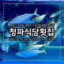 세화제화 | 제주 제화 제주고등어회 맛집 세화고등어회 성지, 청파식당횟집 활고등어전문 솔직후기