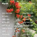 (주)대원고속관광 | 8月 일상(멀리 보자 SEE FAR)