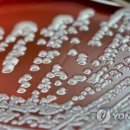 다윈커뮤니케이션 연합뉴스