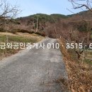 금와공인중개사사무소 이미지