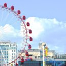 자유랜드 이미지