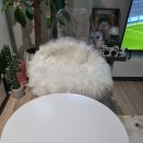 신양스틸 이미지