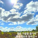 왕송호수 산책로(정자) | ☁️ 하늘이 너무 예뻤던 날, 까부리랑 함께한 왕송호수 산책