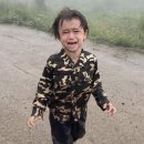 트리케라톱스-3 이미지