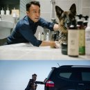 베스트스틸