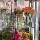 주흥15길 7 이미지