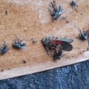 신길7동주민센터 이미지