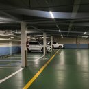 마장축산시장2-1 이미지