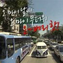 [행복대학]선물 도시락 만들기 | 도시락 싸서 다니다가 보상심리로 주말에는 펑펑 쓰는 직장인 일상