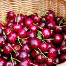 별이&체리 이미지