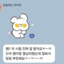 995 | [설탭 과외] 2년차 설탭 선생님 수업 후기 (할인코드 995d4113)