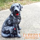 차룡로-2 이미지