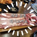 꼬끼또 | [파주 금촌 | 돼지꼬끼요]금촌역맛집에서 가성비있게 즐기는 점심특선