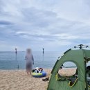 노랑강정 고성간성점 | 강원도여행/고성여행/ 봉포해수욕장