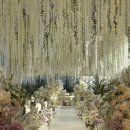 탈리 | W🤍 결혼식 아이폰스냅 메종디탈리 본식 후기 비마이러브스냅