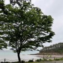 오션스테이7 | [태안 감성숙소]스테이인 태안 7호 스위트 오션뷰 자쿠지 내돈내산 찐 후기!