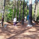 산림자원연구소 이미지