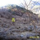 지산리 펜션 이미지