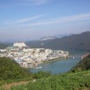 용일약국 이미지