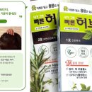 새치 헤나 염색약 유기농 후기, 구성과 활용도