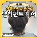 엘리펀트컨설팅 | [서울 마포구] 아현역 미용실 엘리펀트 헤어 예쁘게 염색한 후기