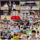 경희대석사대왕태권도 네이버블로그