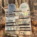 [공지] 가볼만한 곳 국립횡성숲체원 청태산 치유의 숲 산책 트레킹 여행 후기