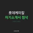 첨단기업5로1R-16 | 롯데케미칼 신입 채용, 합격 자기소개서 작성법(+인재상)