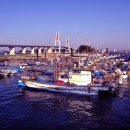 영흥도관광펜션 이미지